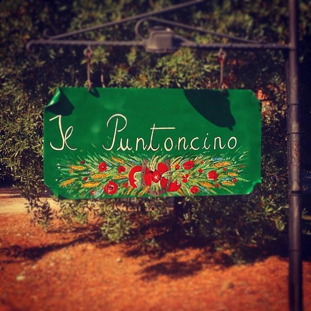 Agriturismo Il Puntoncino Marsiliana Exterior foto