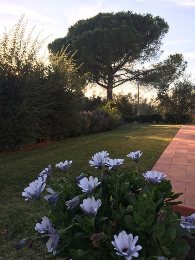 Agriturismo Il Puntoncino Marsiliana Exterior foto